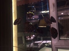 -同喜烤鸭店(光芒店)