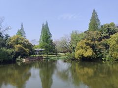 -上海滨江森林公园