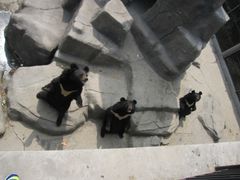 -石家庄市动物园