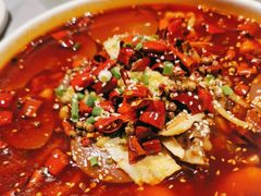 -悦海·家宴·冰花皮皮虾大锅贴(宝龙店)
