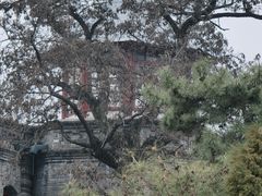 -莲池书院博物馆