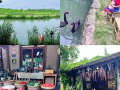 -乌村