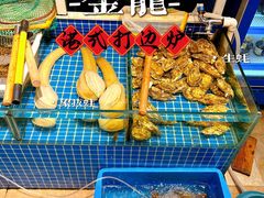 -金龙·打边炉(南京西路店)