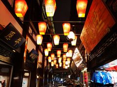 -沈大成(城隍庙店)