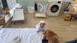 -可乐大王自然光儿童摄影(园区店)