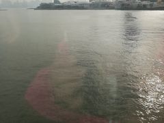 -信德中旅船务管理有限公司