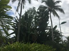 -三亚珠江南田温泉度假区