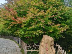 -竹子庵公园