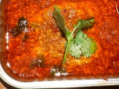 -乔街深夜食堂·台州菜·高压锅生蚝(杭州总店)