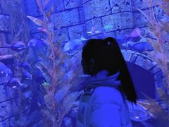 -哈尔滨波塞冬海底世界