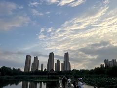 -前关湿地公园