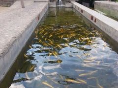 iphone_upload_pic-北京水岸山吧度假村(雁栖镇店)