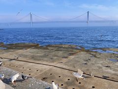 -星海广场