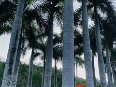 -三亚太阳湾柏悦酒店