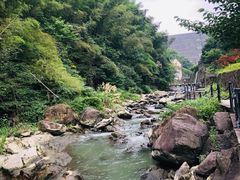 -长谷洞天