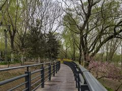 -大兴滨河森林公园