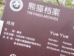 -都江堰中华大熊猫苑