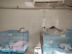 -爱侣·安琦尔宠物医院·中兽医针灸·心内科·狂犬免疫点(宝山区院)