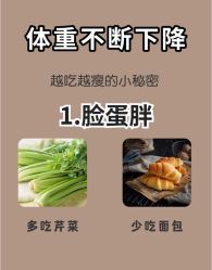 -Fundi张玉珊修身堂·indiba·BTL科技瘦身