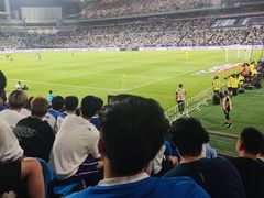 -泰达足球场
