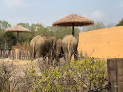 -沈阳森林动物园