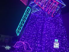 -杭州湾海上花田景区