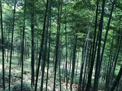 -天目湖御水温泉·度假酒店