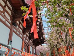 -西安青龙寺遗址景区