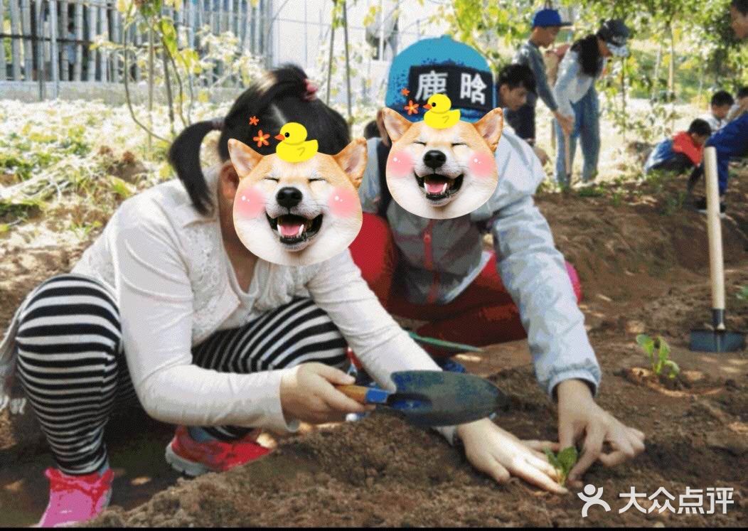 格林东庄🍑 也太interesting了吧🌸 ，不容错过遛娃