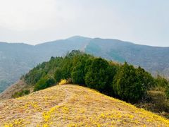 -北京鹫峰国家森林公园