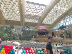 -杭州开元森泊度假乐园