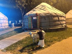 -九十九顶毡房(阜石路店)