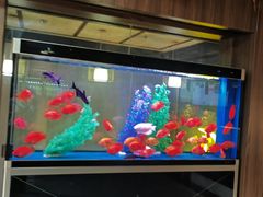 -臻享养生·SPA·影院式足道(汇臻店)