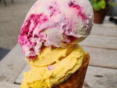 冰淇淋-Patagonia Chocolates(皇后镇店)