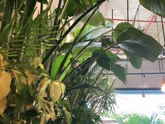 -深圳安仁堂中医·推拿按摩·肩颈调理