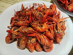 -虾皇(龙虾城旗舰店)