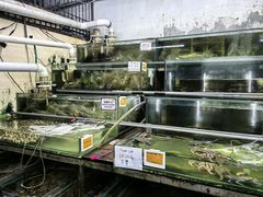 -双天海鲜楼 · 43年老字号