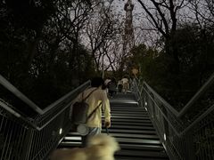 -佛山华盖山公园