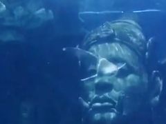 -暹罗海洋世界