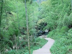 -宁波五龙潭景区