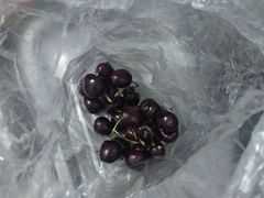 -百果园PAGODA(应元路店)