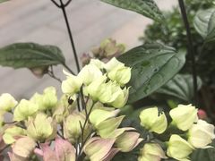 -坂田手造文化街