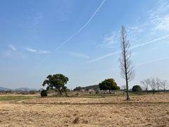 -良渚古城遗址公园