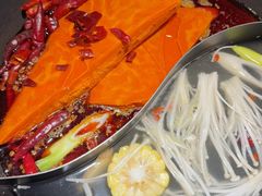 -阳阳老火锅(小南门店)