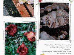 -华南国家植物园-售票处