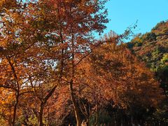-广州市石门国家森林公园