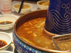 -董记老清泉·鲜切涮羊肉(窑岭店)