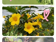 -中国科学院华南植物园