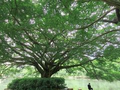 -荔枝公园(福田区)