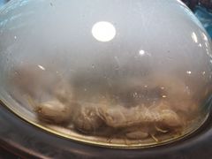 -蟹谢蒸鲜自助餐厅